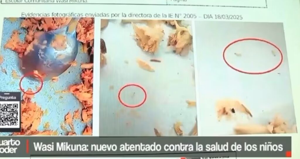 ¡Pudo evitarse! Gobierno ignoró alerta de atún con gusanos previa a intoxicación de más de 100 escolares