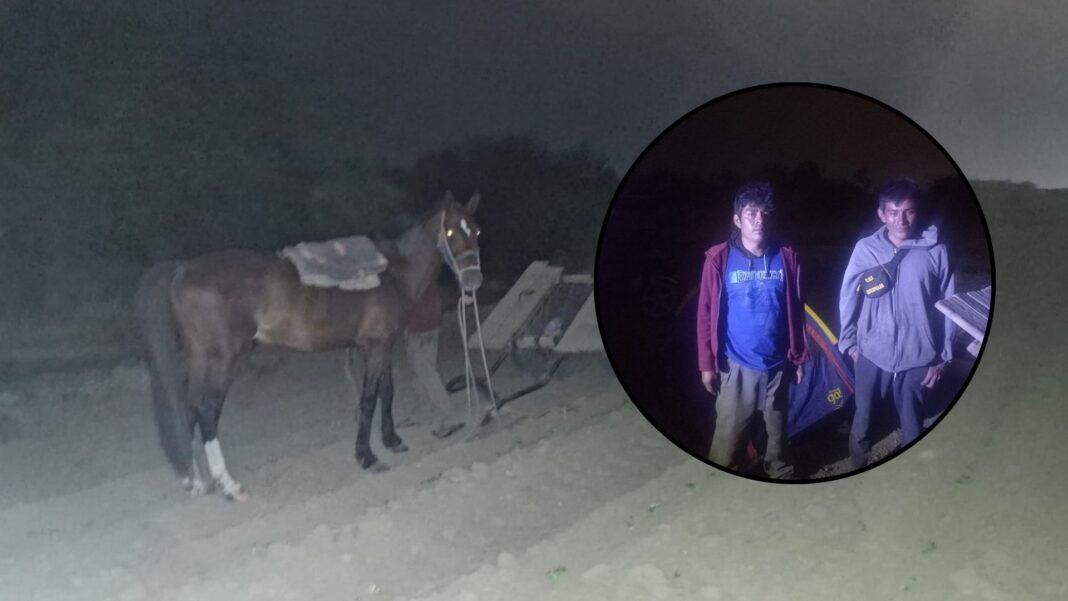 Piura: rescatan a tres agricultores atados por delincuentes para robarles sus caballos. Foto: Difusión.