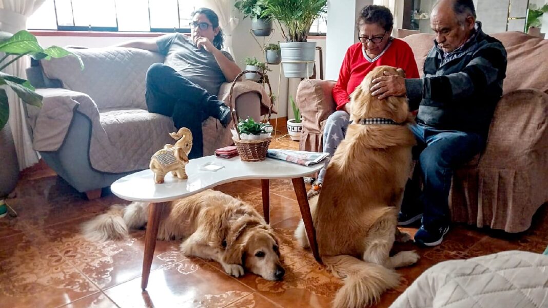 Desde julio, INEI incluirá por primera vez a las mascotas en su medición de hogares. Foto: Difusión.