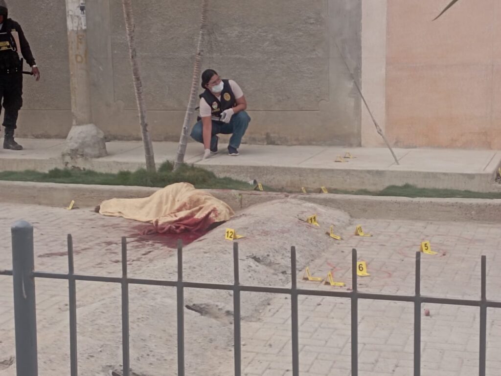 Ambos primos caminaban por la calle Los Narcizos, cuando apareció un automóvil de donde descendieron los sicarios y les dispararon. 