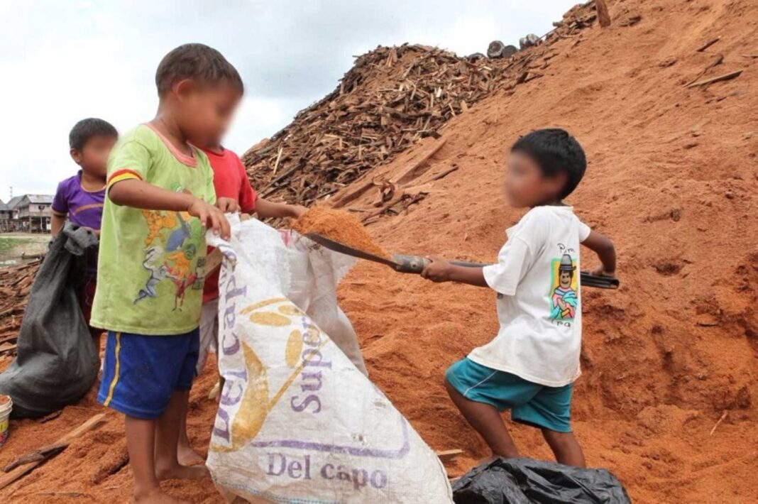 Trabajo infantil en Piura: más de 100 mil menores laboran pese a leve mejora en cifras. Foto: Difusión.