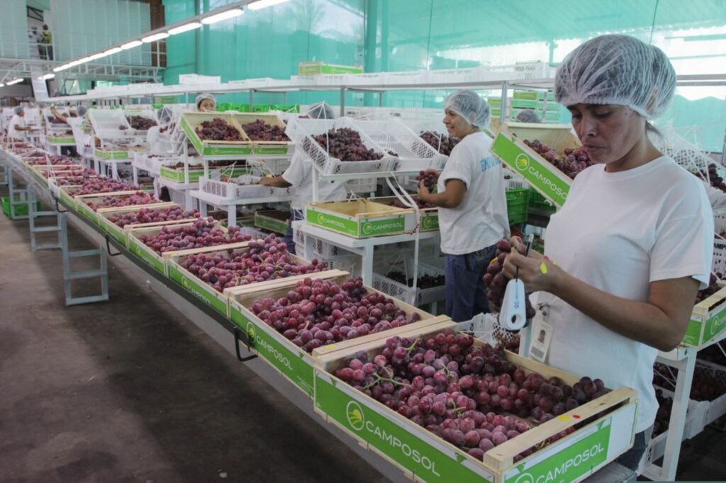 Israel representa un destino estratégico que se suma a las grandes opciones comerciales para los productores peruanos