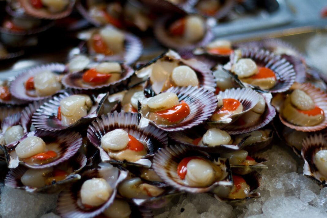 Maricultores de Sechura reciben más de S/ 32,8 millones en créditos para reactivar su economía. Foto: Difusión.