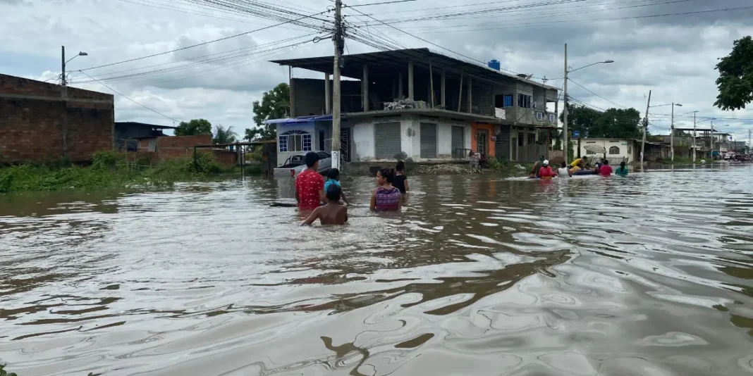 Leptospirosis en Piura: reportan una muerte y aumento de casos a 316 en lo que va del 2025. Foto: Difusión.