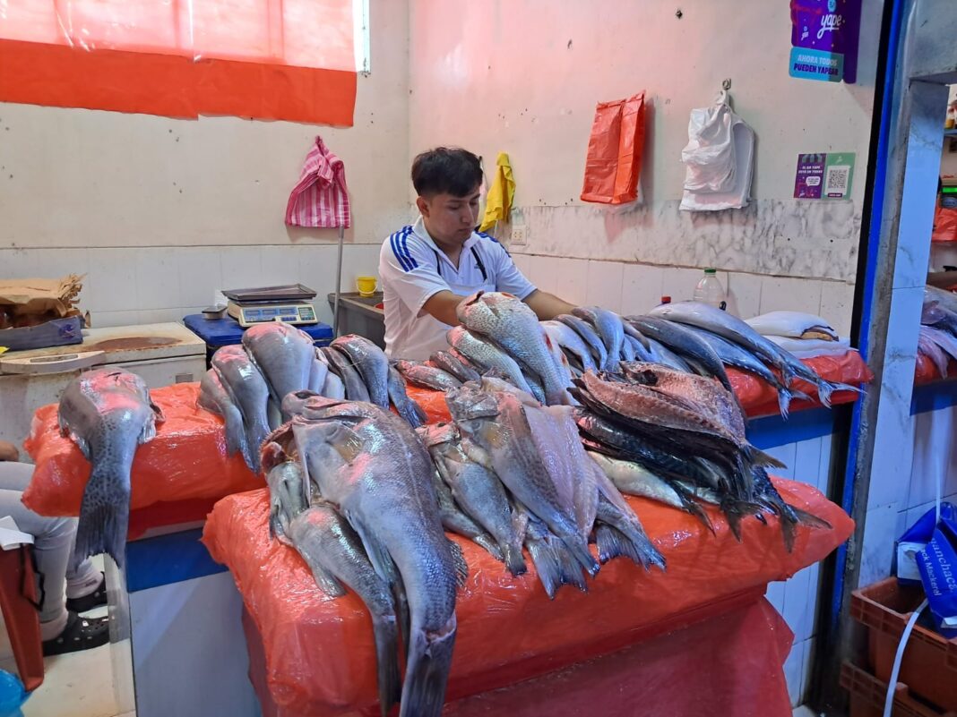 Caballa se dispara hasta los S/30 el kilo en Piura y familias reducen su consumo. Foto: Reporteros 365.