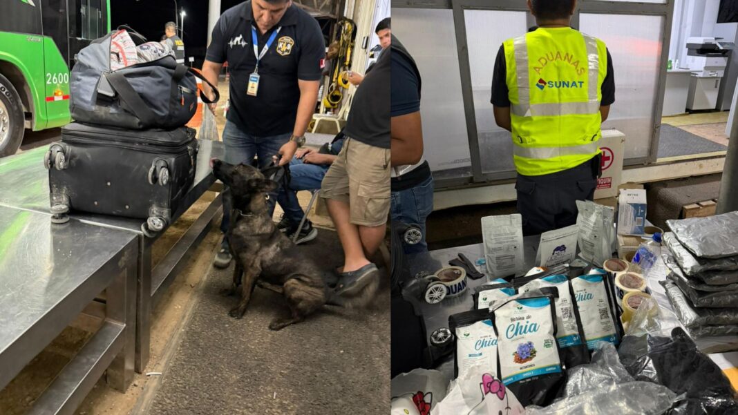 Hallan más de 14 kilos de cocaína escondidos en equipaje de bus interprovincial en Tumbes. Fotos: Difusión.