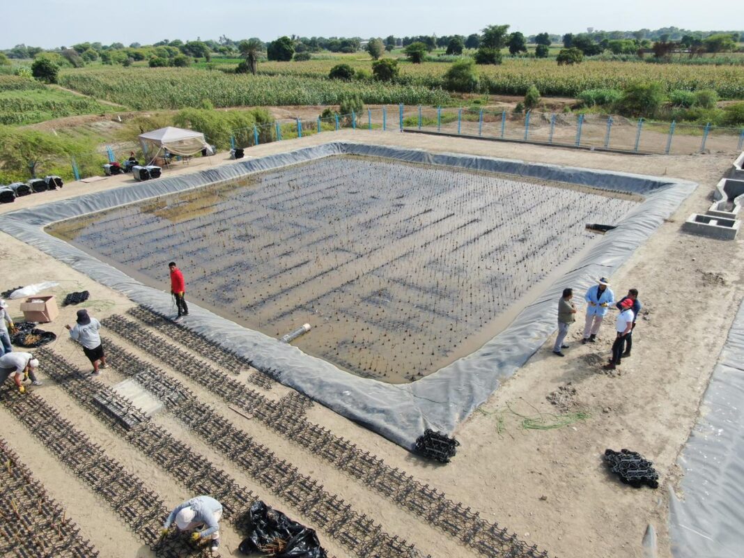 Instalan filtros verdes flotantes en PTAR Narihualá para mejorar la gestión del agua. Foto: Difusión.