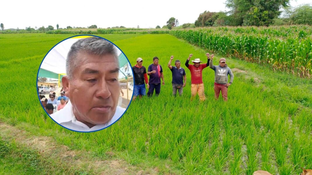 Agricultores del Bajo Piura denuncian abandono del Estado y exigen medidas urgentes ante crisis del agro y fenómeno El Niño. Foto: Reporteros 365.