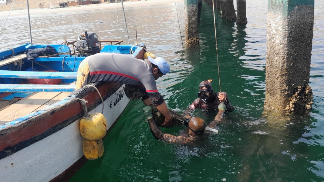 Buzos artesanales de Piura alertan sobre riesgos y reclaman atención médica especializada. Foto: Difusión.