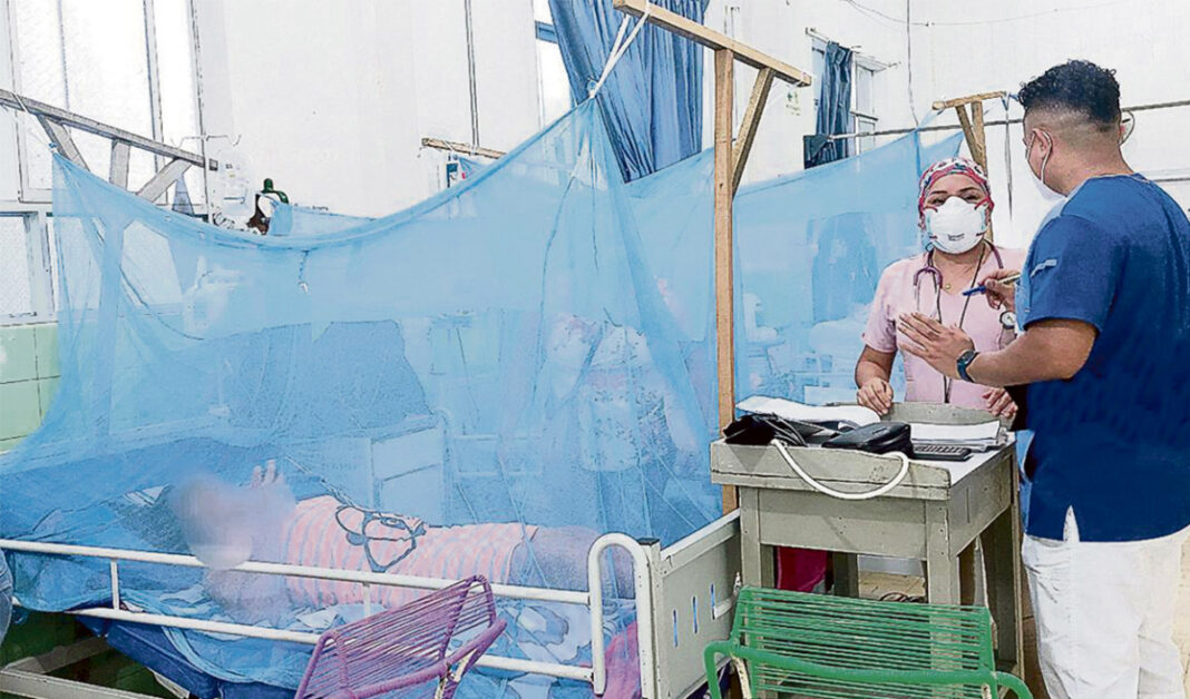 Piura lidera casos de dengue en el país y reporta más de 7 mil contagios en lo que va del año. Foto: Difusión.